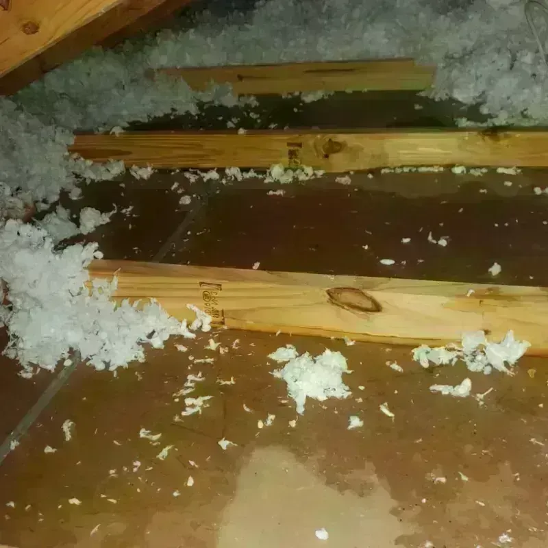 Attic Water Damage in New Franklin, OH