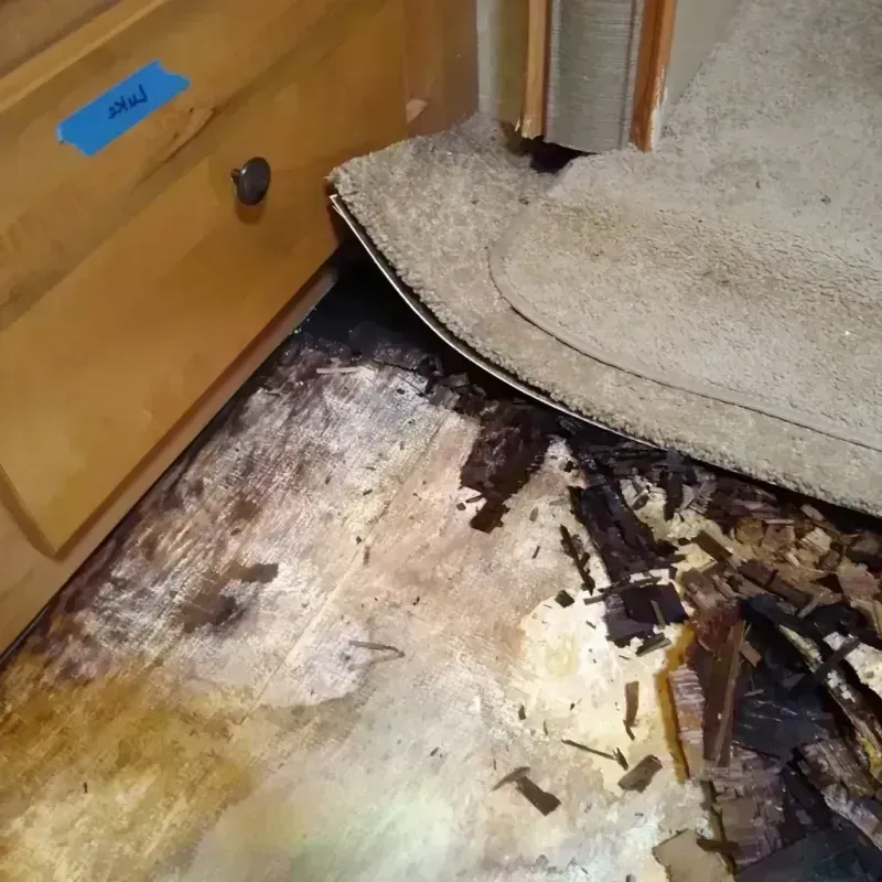 Wood Floor Water Damage in New Franklin, OH